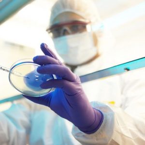 Benefici della cumarina per la salute Benefici della cumarina per la salute