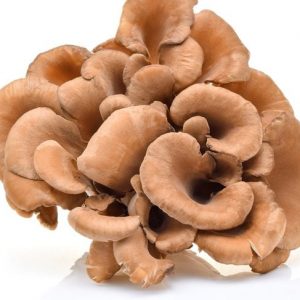 10 Trattamenti per la malattia di Lyme 10 Trattamenti per la malattia di Lyme
