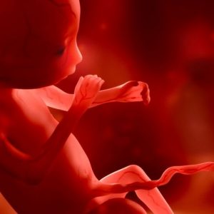 Perché le vitamine prenatali sono importanti durante la gravidanza Perché le vitamine prenatali sono importanti durante la gravidanza