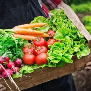 Come iniziare la dieta alcalina Come iniziare la dieta alcalina