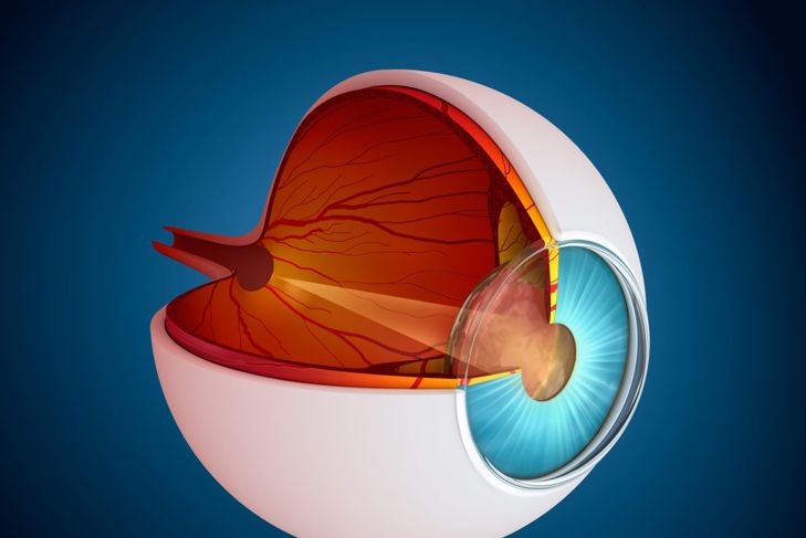 L'uveite è una malattia oculare grave che si maschera da malattia minore 15