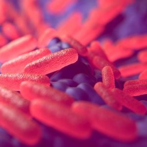 Domande frequenti sulla salmonella Domande frequenti sulla salmonella