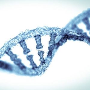 Che cos’è la sindrome di Waardenburg? Che cos’è la sindrome di Waardenburg?