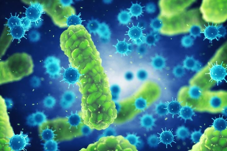 11 sintomi di infezione batterica 1