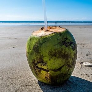 10 benefici dell’acqua di cocco per la salute 10 benefici dell’acqua di cocco per la salute