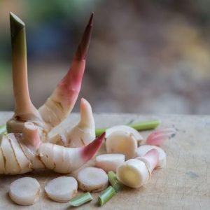 10 benefici del galangolo per la salute 10 benefici del galangolo per la salute