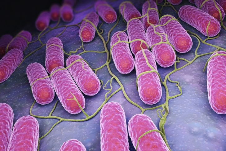11 sintomi di infezione batterica 11