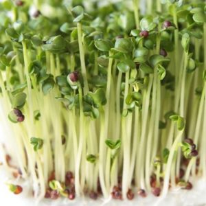 10 grandi benefici per la salute dei germogli di broccoli