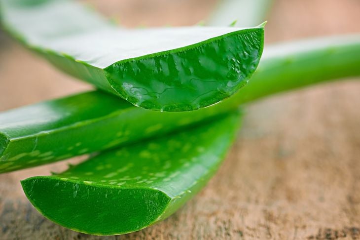 Benefici dell'Aloe Vera per la salute 11