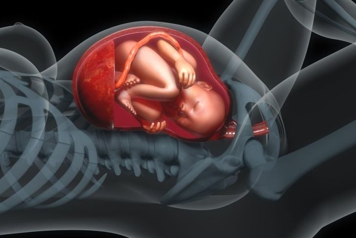 Perché le vitamine prenatali sono importanti durante la gravidanza 7