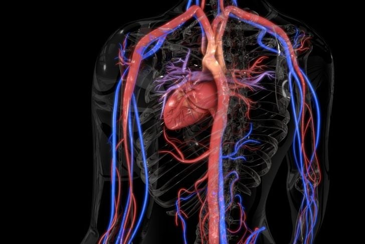 Che cos'è la cachessia cardiaca? 7