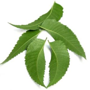 Trattamenti per l’herpes zoster Trattamenti per l’herpes zoster