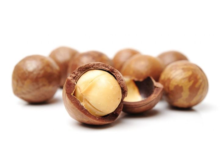 10 benefici per la salute delle noci di Macadamia 15