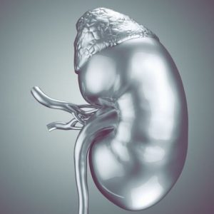 Cause del potassio alto e alcuni alimenti a basso contenuto di potassio Cause del potassio alto e alcuni alimenti a basso contenuto di potassio