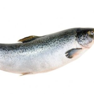 10 alimenti da evitare in gravidanza 10 alimenti da evitare in gravidanza