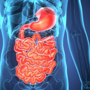 10 fatti sul cancro gastrointestinale