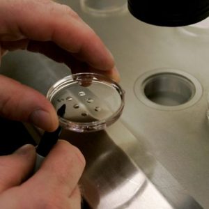 Esplorare la donazione di ovuli