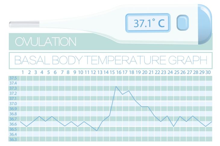 Temperatura corporea basale e fertilità 9