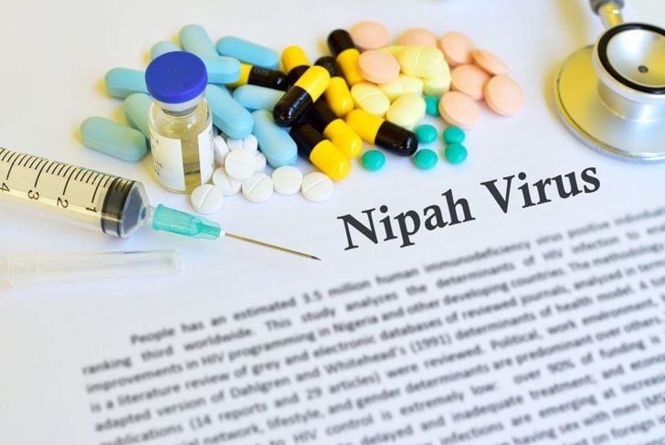 Come si diffondono i focolai di virus Nipah e come prevenirli 7