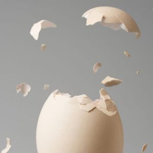 I sorprendenti benefici dell’aggiunta del guscio d’uovo alla dieta I sorprendenti benefici dell’aggiunta del guscio d’uovo alla dieta