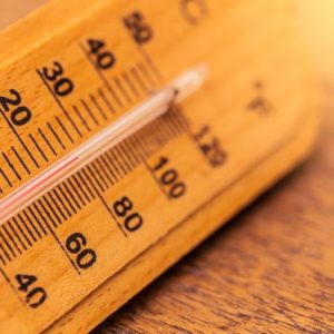L’importanza della temperatura corporea e della termoregolazione L’importanza della temperatura corporea e della termoregolazione