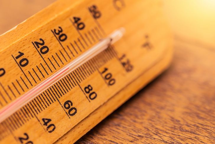 L'importanza della temperatura corporea e della termoregolazione 1