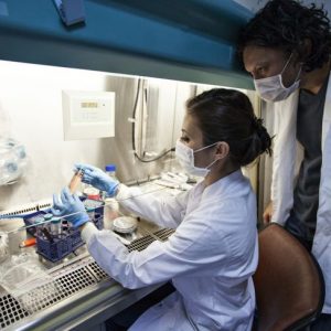 10 Cause, sintomi e trattamenti dell’ebola 10 Cause, sintomi e trattamenti dell’ebola