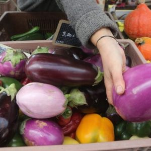 I sorprendenti benefici dell’umile melanzana I sorprendenti benefici dell’umile melanzana