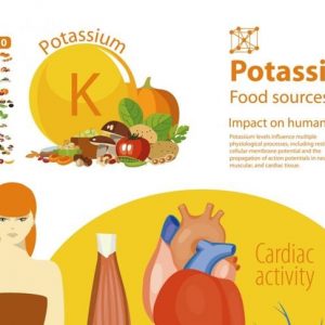 I migliori alimenti per una dieta a basso contenuto di potassio I migliori alimenti per una dieta a basso contenuto di potassio