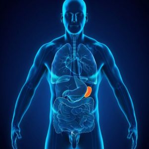 10 fatti sulla splenomegalia 10 fatti sulla splenomegalia
