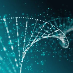 La controversia e la curiosità intorno all’epigenetica La controversia e la curiosità intorno all’epigenetica