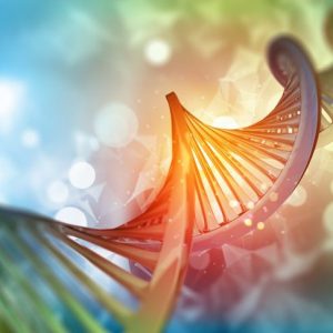 10 fatti sulle malattie metaboliche