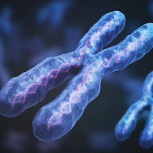 Alcuni fatti importanti sulla sindrome di Aarskog Alcuni fatti importanti sulla sindrome di Aarskog