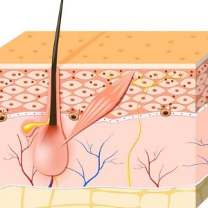 Che cos’è la melanina? Che cos’è la melanina?