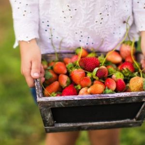 10 alimenti a basso contenuto calorico di grande gusto 10 alimenti a basso contenuto calorico di grande gusto