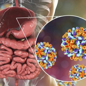 Quanto a lungo l’influenza, l’epatite e altri virus vivono fuori dal corpo?