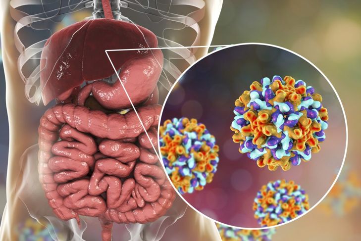 Quanto a lungo l'influenza, l'epatite e altri virus vivono fuori dal corpo? 1