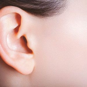 Le ossa dell’orecchio