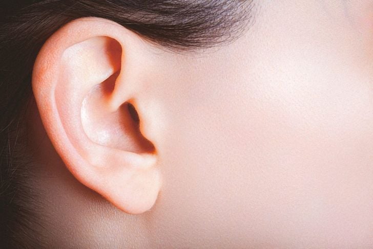 Le ossa dell'orecchio 1