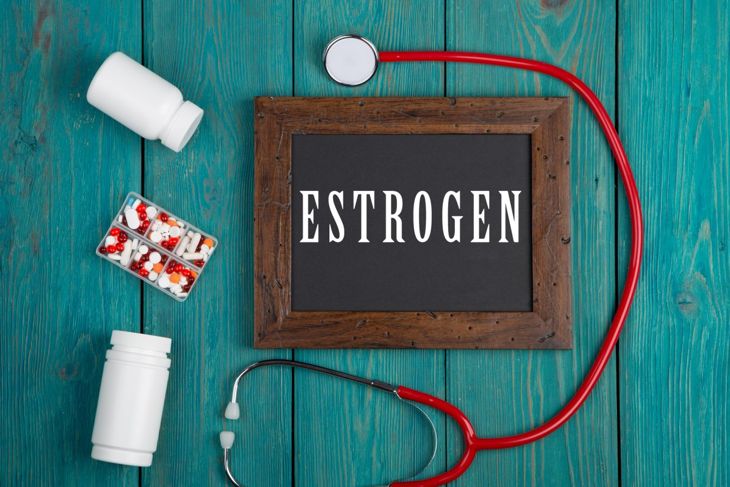 Che cos'è l'estrogeno e perché è importante? 15