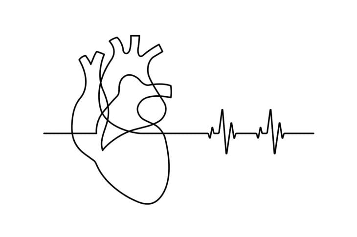 Che cos'è l'insufficienza della valvola aortica? 15