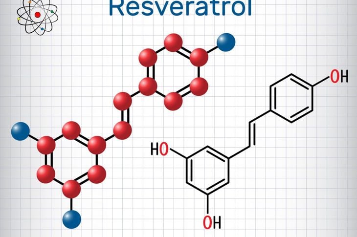 Domande frequenti e benefici del resveratrolo 1