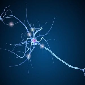 Cosa sono gli schwannomi?