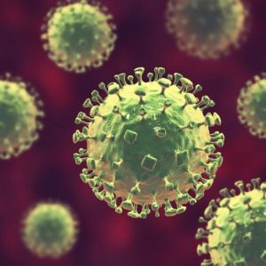 Come si diffondono i focolai di virus Nipah e come prevenirli