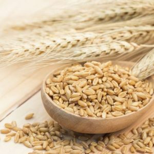 I super benefici dell’orzo per la salute I super benefici dell’orzo per la salute