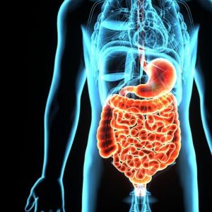 Benefici dell’argilla bentonite per la salute