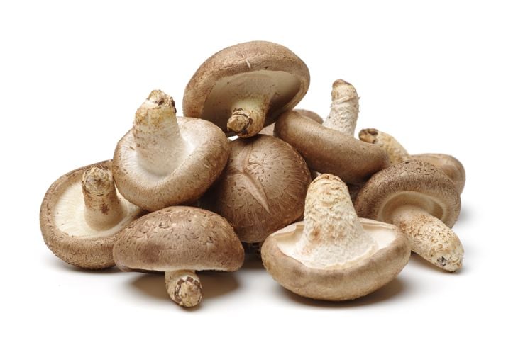 Cosa rende i funghi Shiitake così salutari? 19