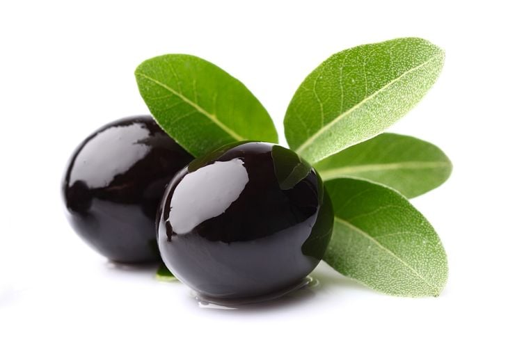 10 modi interessanti in cui le foglie di ulivo possono migliorare la vostra salute 13