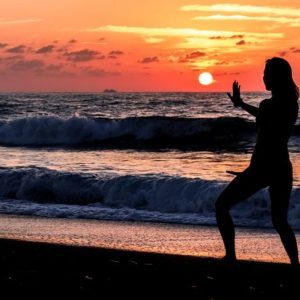 Qigong per la meditazione tradizionale cinese e l’addestramento alle arti marziali Qigong per la meditazione tradizionale cinese e l’addestramento alle arti marziali