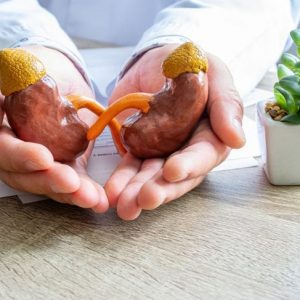 Cosa mangiare in una dieta renale Cosa mangiare in una dieta renale